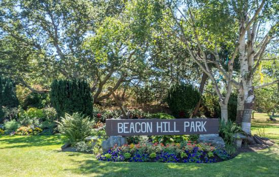Beacon Hill Park